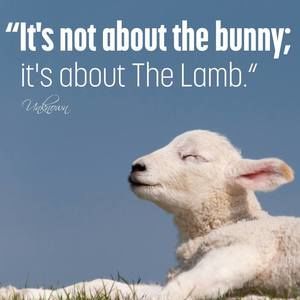 Meet your Posher, Marcy